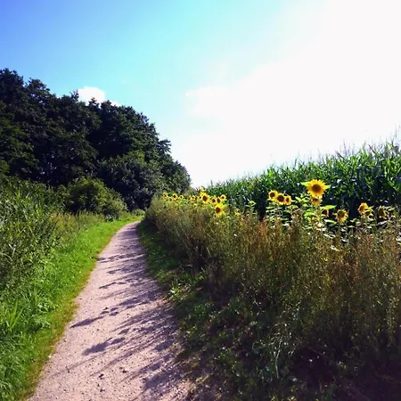 Weideblick Auf Dem Bauernhof Am Schweriner Appartamento Bad Kleinen